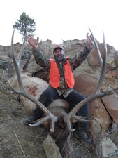Elk hunting in Montana with Montana outfitters. Redbone Outfitting offers experienced hunting guides for a once in a life time Elk hunt.